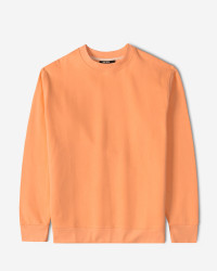 خرید و قیمت پلیور دورس یقه گرد ساده مردانه گلبه ای24357261