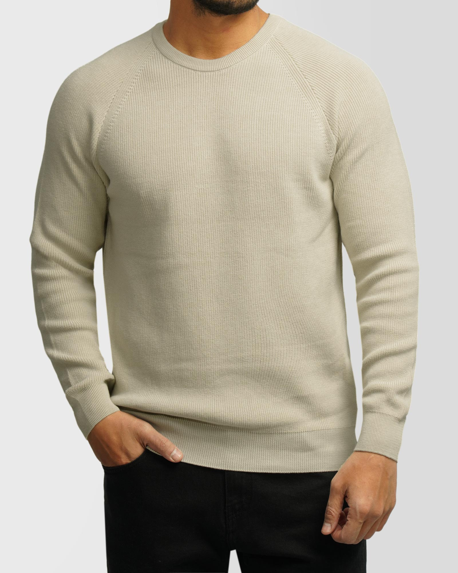 خرید و قیمت پلیور بافت یقه گرد مردانه کرم 24342178