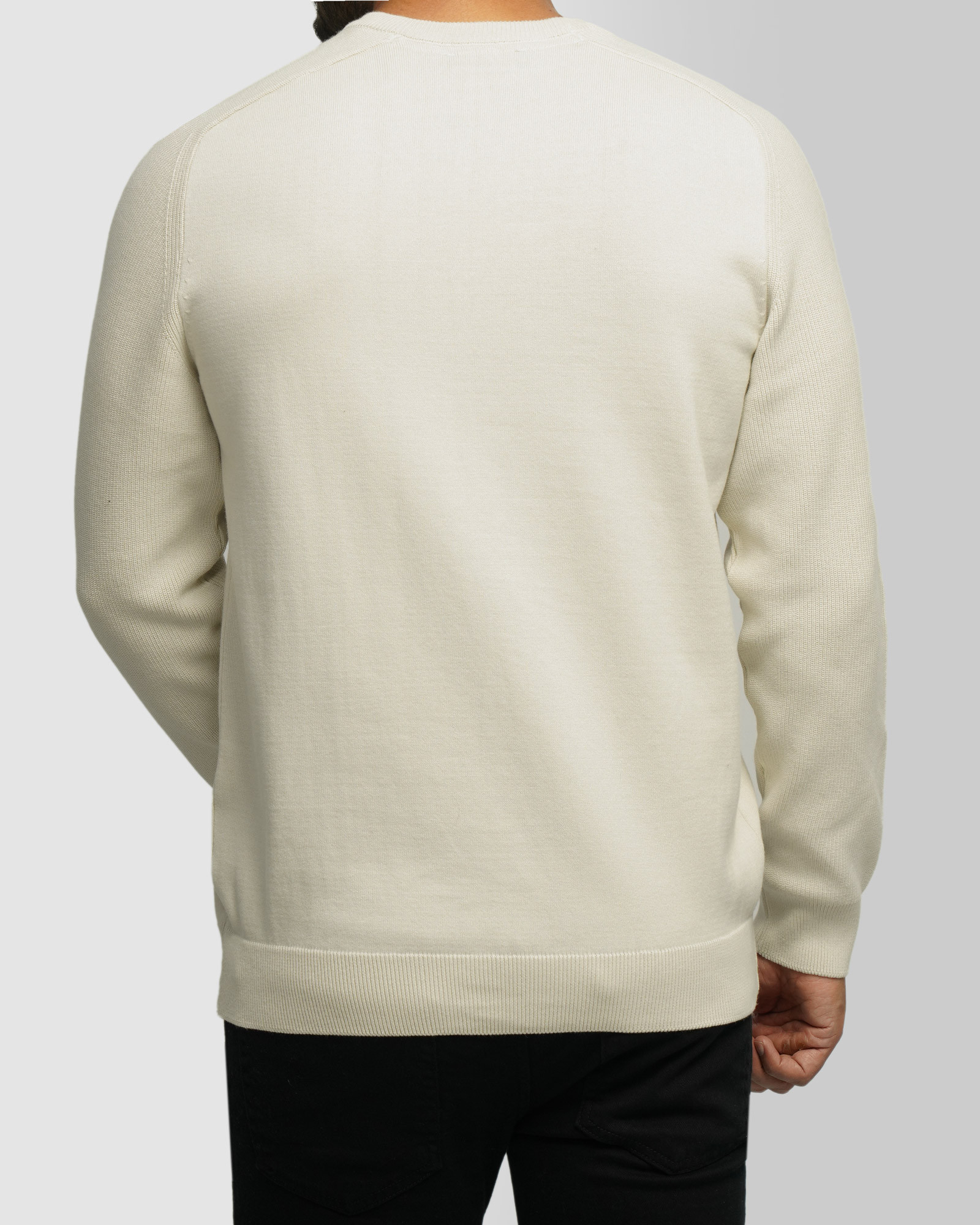 خرید و قیمت پلیور بافت یقه گرد مردانه کرم روشن 24358135