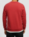 خرید و قیمت پلیور دورس یقه گرد مردانه قرمز 24457290
