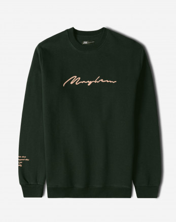 خرید و قیمت پلیور دورس یقه گرد مردانه سبز 24457296